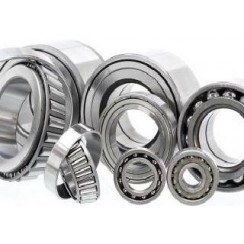 Ball & Roller Bearings